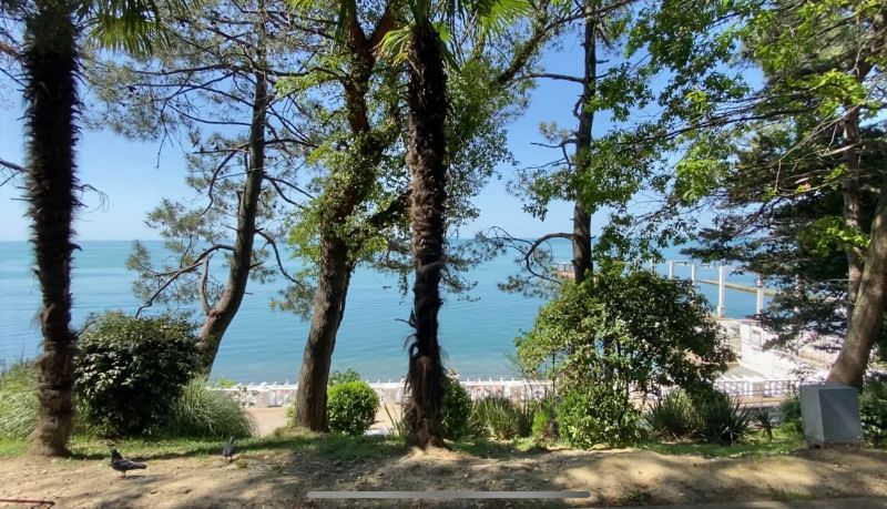 Территория