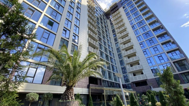 Внешний вид