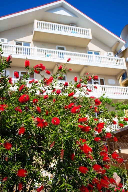 Внешний вид