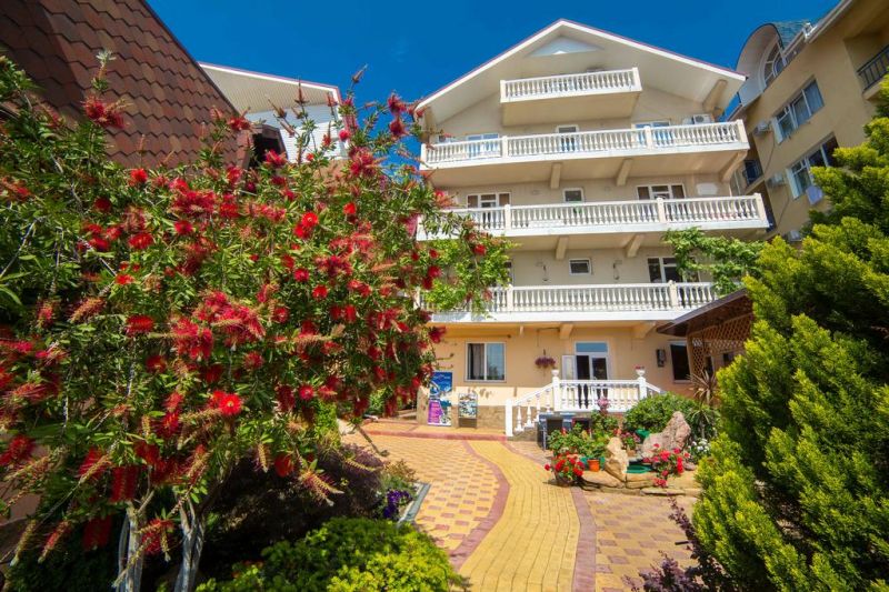 Внешний вид