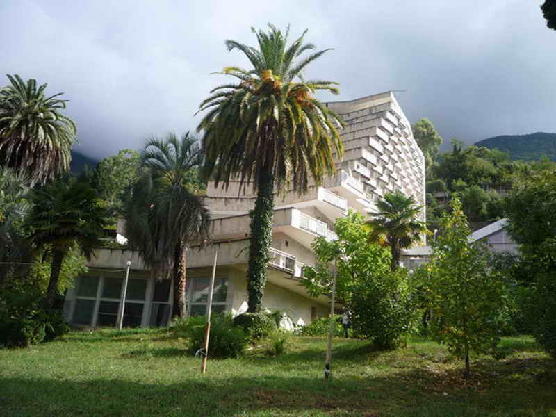 Внешний вид