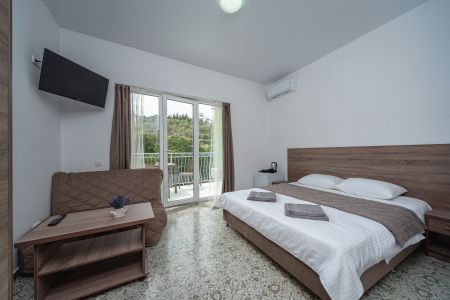 Апартаменты 2-местный 1-комнатный с видом на горы и парк