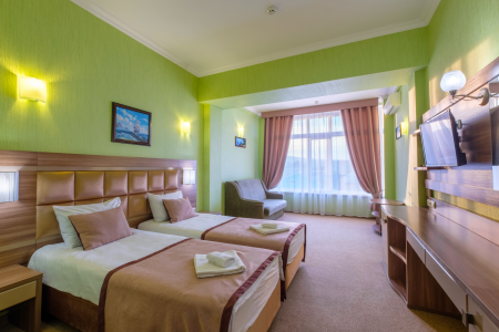 Стандарт Комфорт 2-местный 1-комнатный