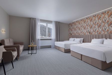 Junior Suite Junior suite 2-местный 1-комнатный