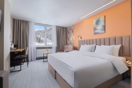 Standard Standart 2-местный 1-комнатный