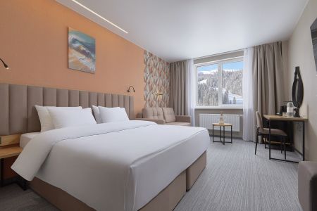 Standart plus Standart plus 2-местный 1-комнатный