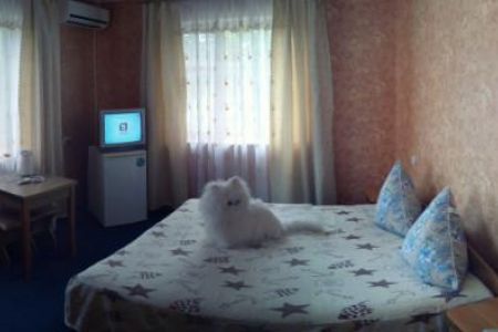 2-местный 1 категории (3-х этажный корпус)