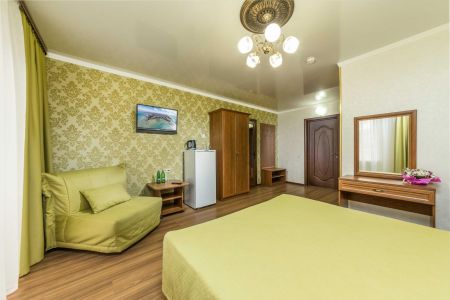 1-комнатный Стандарт Плюс вид на парк (18-20 кв.м)