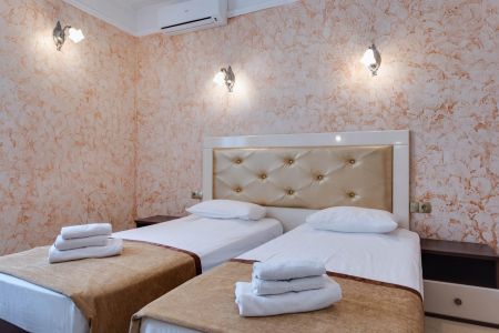 Стандарт мини