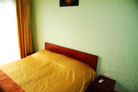 однокомнатный двухместный 3 этаж ("ДИАНА")