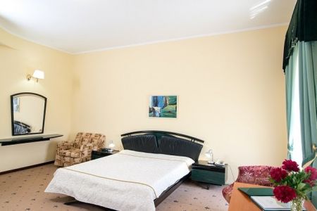 Студио Комфорт 1-местный 1-комнатный