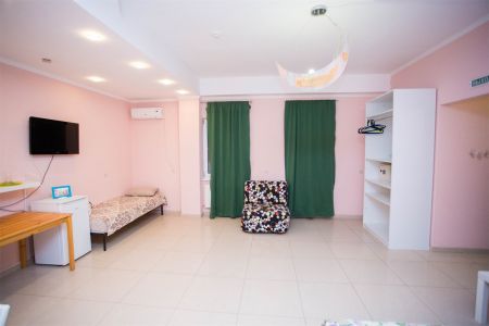 1 комнатные апартаменты с кухней