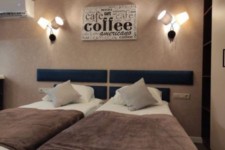 Полулюкс Кофейный 2-местный 1-комнатный