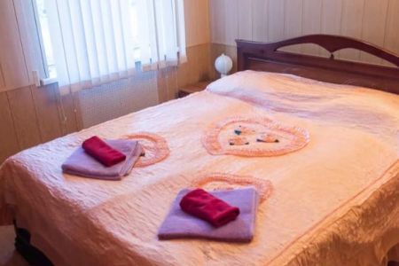 Гостевой дом №9а "Дача Шишкина"