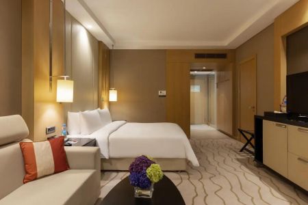 Делюкс с одной двуспальной кроватью