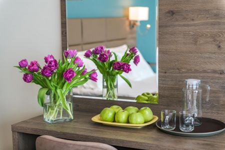 Представительский однокомнатный двухместный