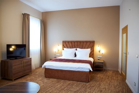 Двухкомнатный люкс с террасой | Вид на Неву