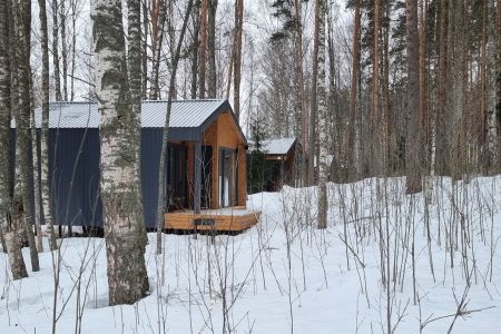 Дома с видом на лес гостиная со спальней