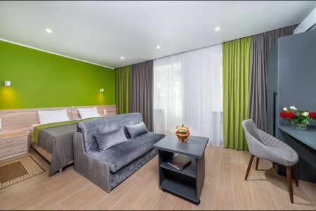 2-местный 1 комнатный с диваном корпус 9