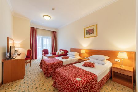 Стандартный 2-местный, вид на город (2 отдельные кровати)