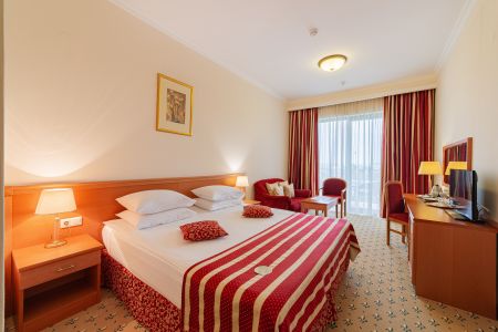 Стандартный 2-местный, вид на город (2спальная кровать)