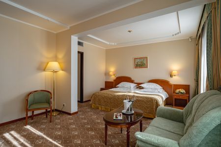 Де Люкс 2-местный 1-комнатный с видом на парк