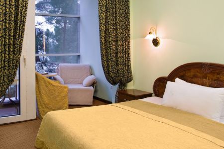 Стандартный 1-комнатный 2-местный "Салют" с видом на горы DBL