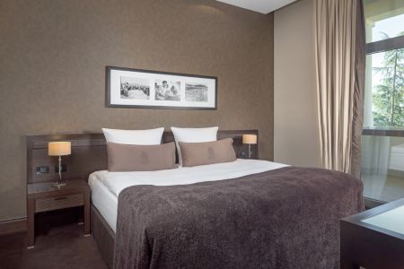 Deluxe 2-местный с видом на парк