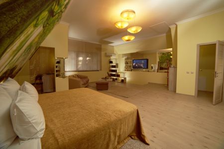 Люкс 2-местный люкс гармония