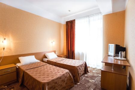 Стандарт 2-местный  Twin с видом на город