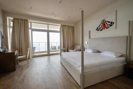 Комфорт 2-местный 1-комнатный (корпус 1,2,9, СПА отель)