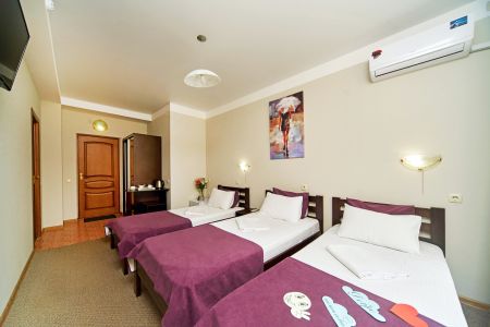 Стандартный 3-местный с балконом или террасой