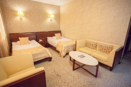 Стандарт 2-местный 1-комнатный бинес TWIN