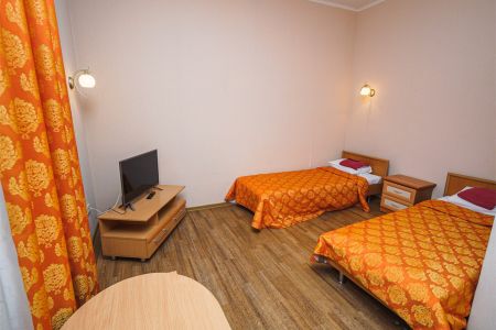 Стандарт 2-местный корпус №3 Елочка