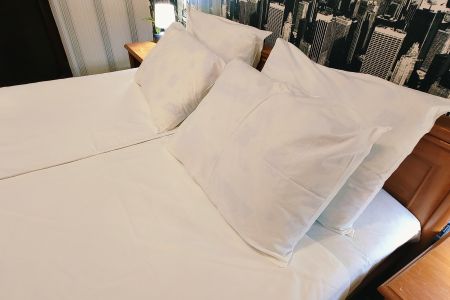 Бизнес  4-местный Бизнес с видом на бассейн