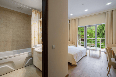 Стандартный 2-местный 1-комнатный вид на парк