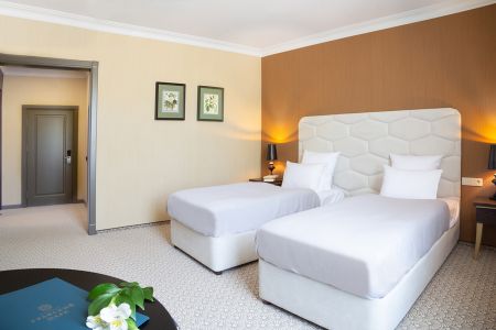 Бизнес  2-местный TWN