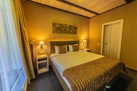 Премиум 1-комнатный номер Делюкс Премиум