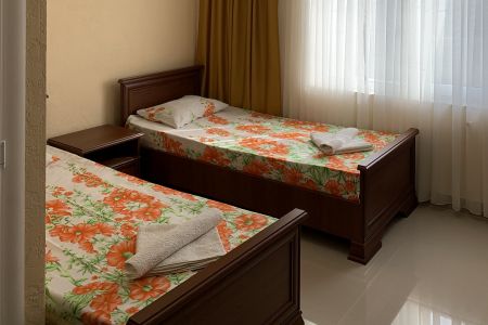 Стандарт 2-местный без балкона TWIN