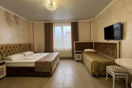 Студия 3 местная с кухней