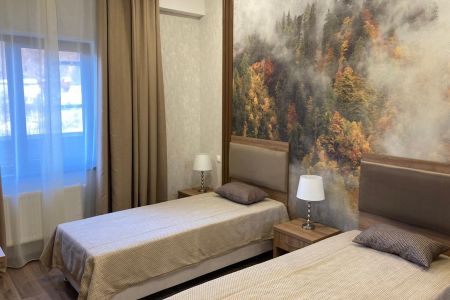 Стандарт 2-местный 