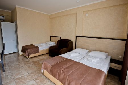 Люкс 3-местный у бас. 1 этаж