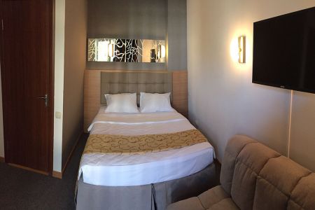 Стандартный 2-местный с одной кроватью и диваном-кроватью