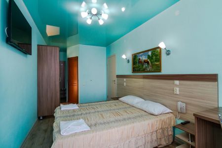 Комфорт 2-местный к.Лесной домик