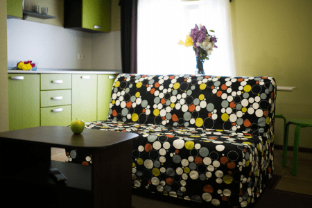 Студия 2-местная с мини кухней