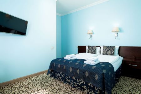 Люкс Люкс с 1 спальней 43