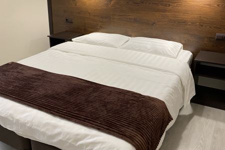 Делюкс 2-местный 1-комнатный