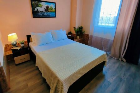 Полулюкс 2-местный