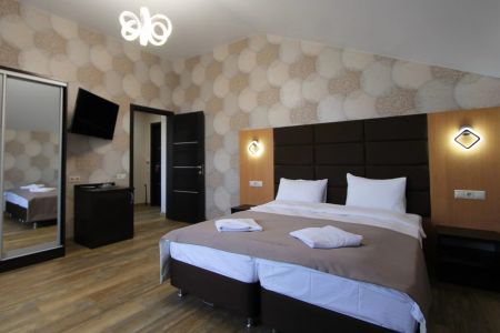 Люкс Люкс 4-местный 2 комнатный