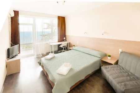 Стандарт Евро 3-местный 1-комнатный